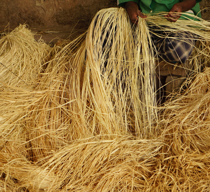 Le Rafia Tout Savoir sur le Raphia : N°1 de la Fibre Végétale - OQENA - Blog