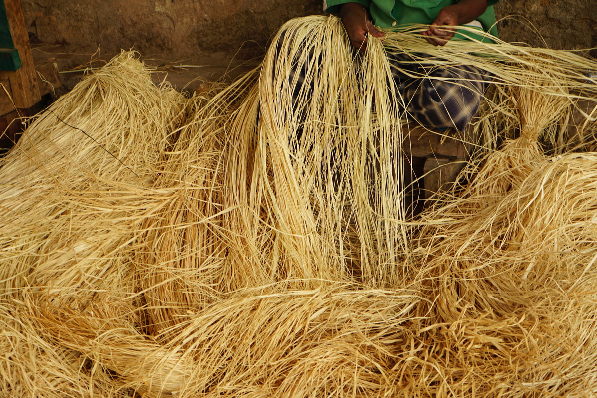 Le Rafia Tout Savoir sur le Raphia : N°1 de la Fibre Végétale - OQENA - Blog